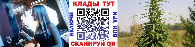 Сколько стоит Кашин Конопля  ГАШ 