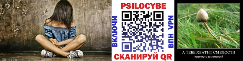 Псилоцибиновые грибы GOLDEN TEACHER  закладка  Кашин 