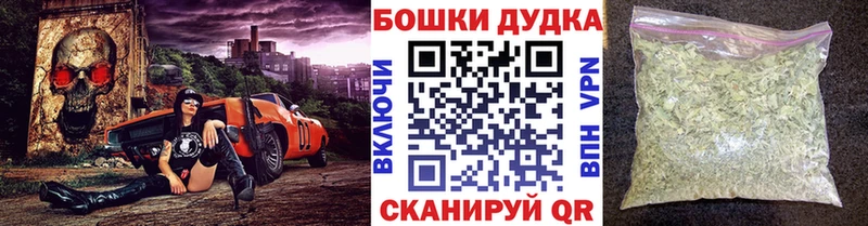 Каннабис план  купить закладку  Кашин 